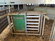 041 Pratley Sheep Scales w  load bars and DR 3000