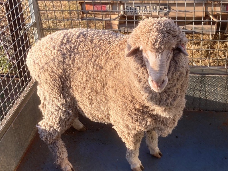 private-sales-farmclearingsales-au