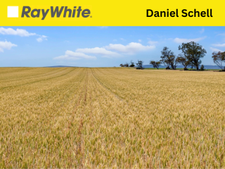 Ray White The Block