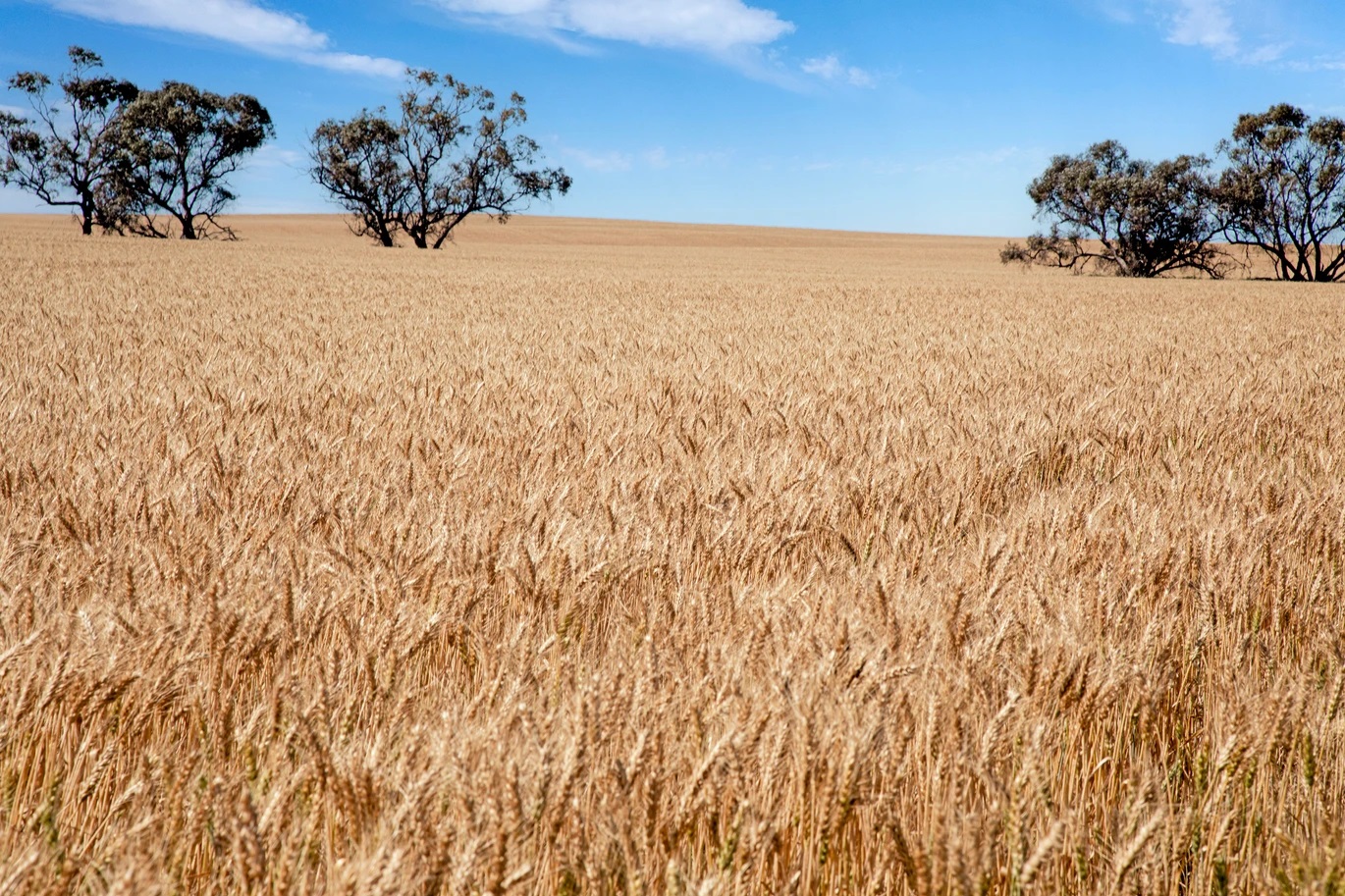 Categories | Farmclearingsales.com.au